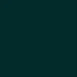 STAHLS' CAD-CUT Premium Plus - Dark Green - 410 STAHLS' CAD-CUT Premium Plus - Dark Green - 410