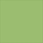 STAHLS' CAD-CUT Premium Plus – Pastel Green – 420 STAHLS' CAD-CUT Premium Plus – Pastel Green – 420