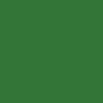 STAHLS' CAD-CUT Fancy Light Green Heat Transfer Vinyl - Light Green - 422
