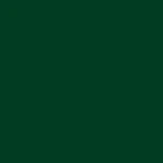 STAHLS' CAD-CUT Soft Metallic Heat Transfer Vinyl - Kelly Green - 5400