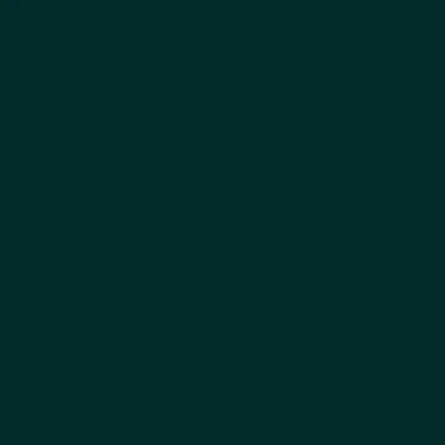 STAHLS' CAD-CUT SportsFilm – Dark Green – Dark Green – 410 STAHLS' CAD-CUT SportsFilm – Dark Green – Dark Green – 410
