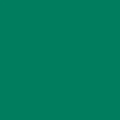 STAHLS'  CAD-CUT SportsFilm &ndash; Green &ndash; 400 