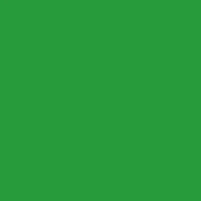 STAHLS' CAD-CUT SportsFilm - Light Green - 422 STAHLS' CAD-CUT SportsFilm - Light Green - 422