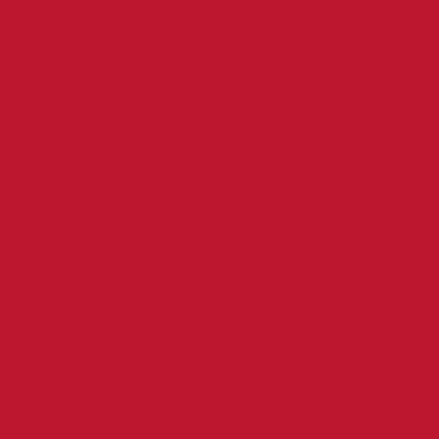 STAHLS' CAD-CUT  SportsFilm - Red - 200 