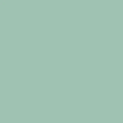 STAHLS CAD-CUT' SportsFilm – Sage Green – Sage Green – 423 STAHLS CAD-CUT' SportsFilm – Sage Green – Sage Green – 423