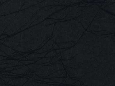 ORACAL 975CO-070 Cocoon Black