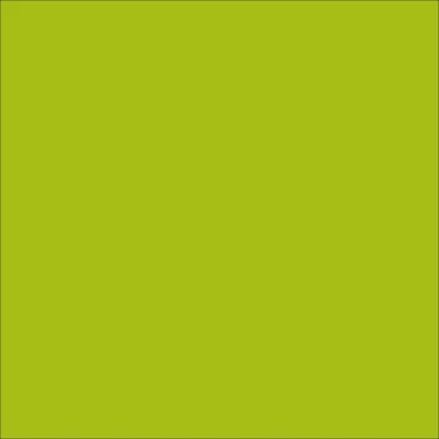 STAHLS' CAD-CUT Premium Plus - Apple Green - 421 STAHLS' CAD-CUT Premium Plus - Apple Green - 421