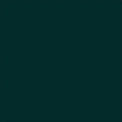 STAHLS' CAD-CUT Premium Plus - Dark Green - 410 STAHLS' CAD-CUT Premium Plus - Dark Green - 410