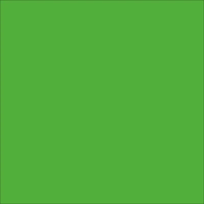 STAHLS' CAD-CUT Premium Plus - Neon Green - Neon Green - 401 STAHLS' Premium Plus - Neon Green - 401