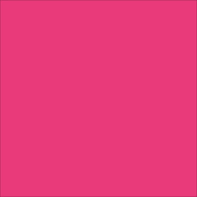 STAHLS' CAD-CUT Premium Plus - Neon Pink - Neon Pink - 241 STAHLS' Premium Plus - Neon Pink - Neon Pink - 241
