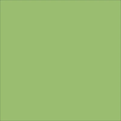STAHLS' CAD-CUT Premium Plus – Pastel Green – 420 STAHLS' CAD-CUT Premium Plus – Pastel Green – 420