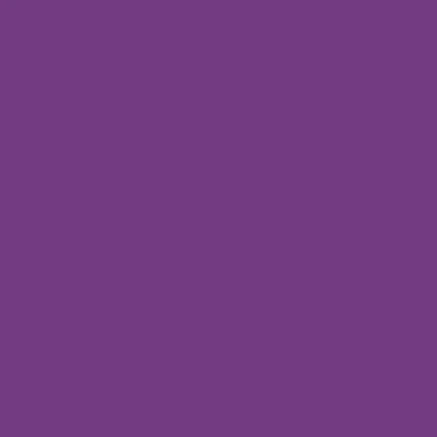 STAHLS' CAD-CUT Fancy Purple Heat Transfer Vinyl - Purple - 280 STAHLS' CAD-CUT Fancy Purple Heat Transfer Vinyl - Purple - 280