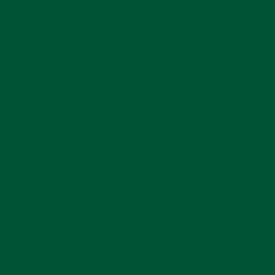 STAHLS' CAD-CUT Flock - Green - 400 STAHLS' CAD-CUT Flock - Green - 400