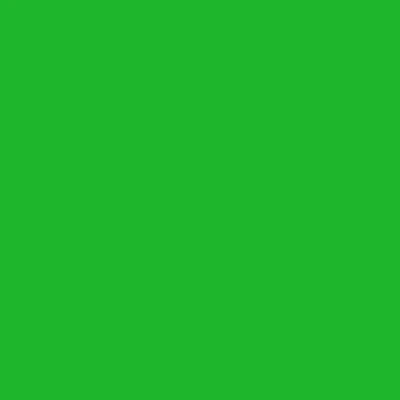 STAHLS' CAD-CUT Flock Fluo - Green - Neon Green - 401 STAHLS' CAD-CUT Flock Fluo - Green - Neon Green - 401