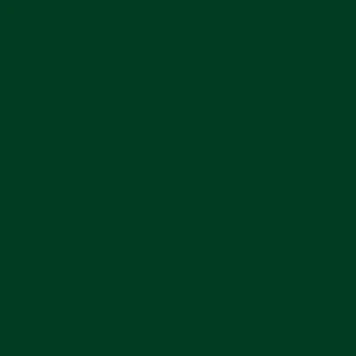 STAHLS' CAD-CUT Soft Metallic Heat Transfer Vinyl - Kelly Green - 5400