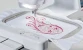 Brother Innov-is V3LE Limited Edition Embroidery Machine